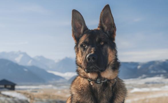 Thanos with mountains in the background