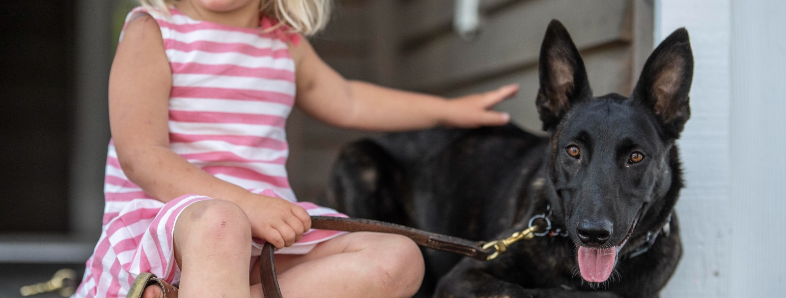 Two kids and two dogs sitting in the snow
